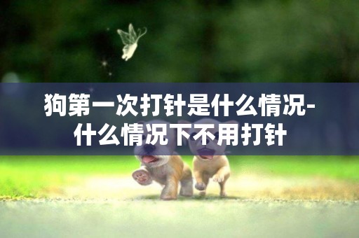 狗第一次打針是什么情況-什么情況下不用打針