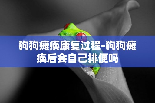 狗狗癱瘓康復過程-狗狗癱瘓后會自己排便嗎