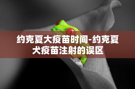約克夏大疫苗時間-約克夏犬疫苗注射的誤區