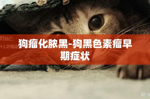 狗瘤化膿黑-狗黑色素瘤早期癥狀
