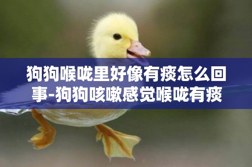 狗狗喉嚨里好像有痰怎么回事-狗狗咳嗽感覺喉嚨有痰怎么回事