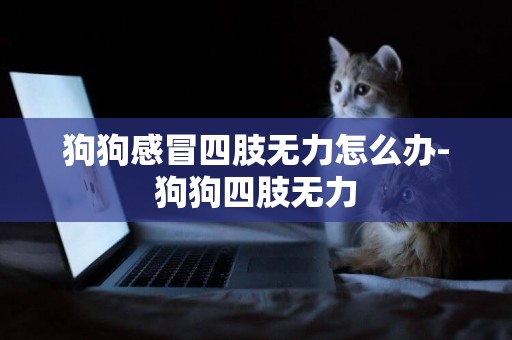 狗狗感冒四肢無力怎么辦-狗狗四肢無力