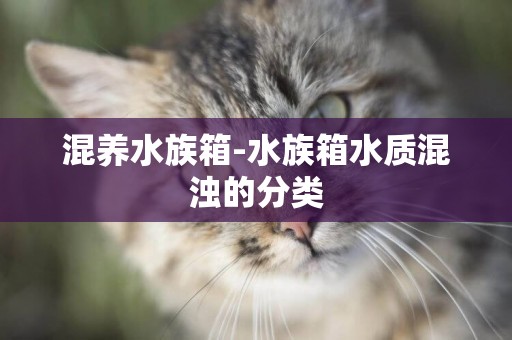 混養水族箱-水族箱水質混濁的分類