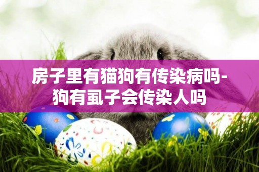 房子里有貓狗有傳染病嗎-狗有虱子會傳染人嗎