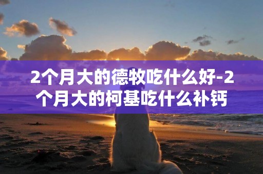 2個月大的德牧吃什么好-2個月大的柯基吃什么補鈣