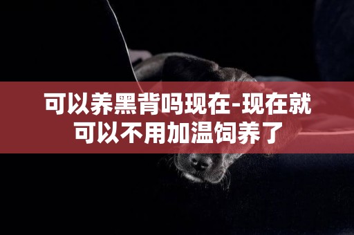 可以養黑背嗎現在-現在就可以不用加溫飼養了