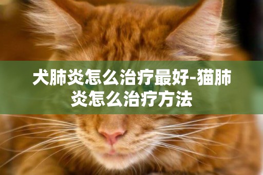 犬肺炎怎么治療最好-貓肺炎怎么治療方法