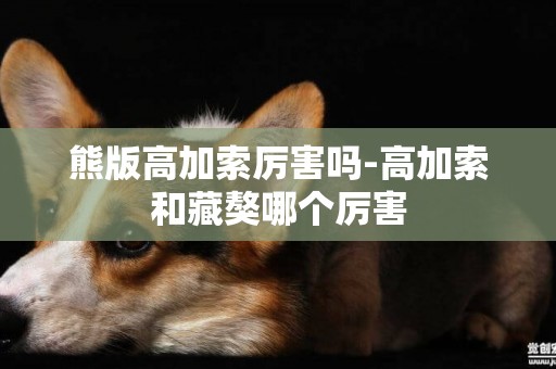 熊版高加索厲害嗎-高加索和藏獒哪個厲害