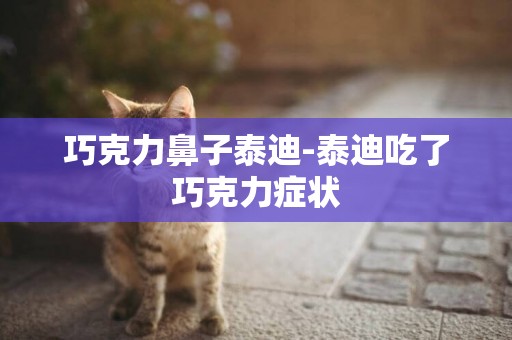 巧克力鼻子泰迪-泰迪吃了巧克力癥狀
