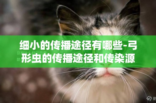細小的傳播途徑有哪些-弓形蟲的傳播途徑和傳染源