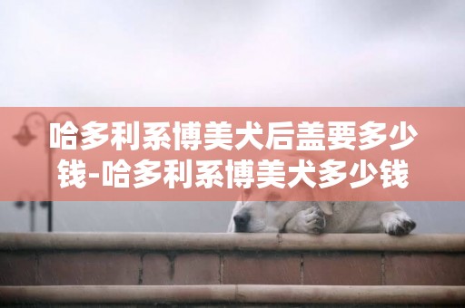 哈多利系博美犬后蓋要多少錢-哈多利系博美犬多少錢一只
