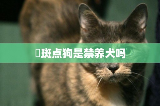 ?斑點狗是禁養犬嗎