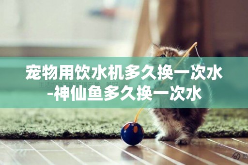 寵物用飲水機多久換一次水-神仙魚多久換一次水