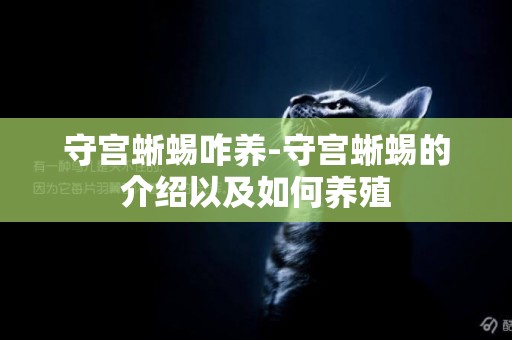 守宮蜥蜴咋養-守宮蜥蜴的介紹以及如何養殖