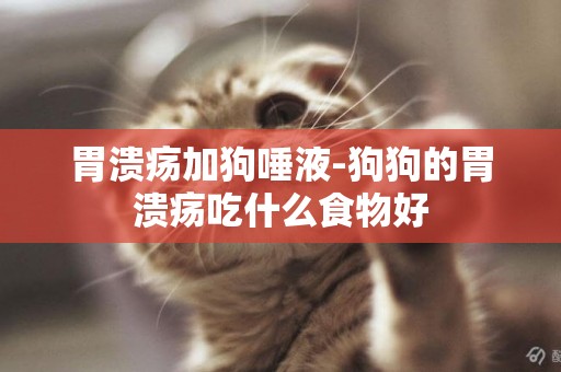 胃潰瘍加狗唾液-狗狗的胃潰瘍吃什么食物好
