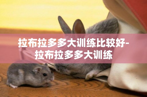拉布拉多多大訓練比較好-拉布拉多多大訓練