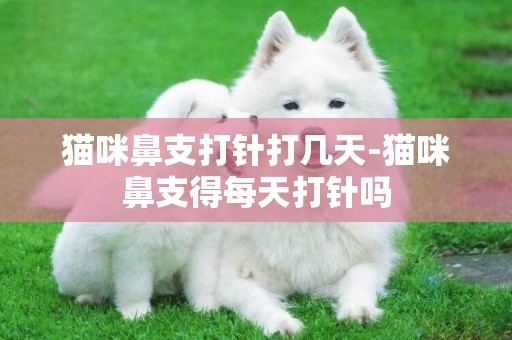 貓咪鼻支打針打幾天-貓咪鼻支得每天打針嗎