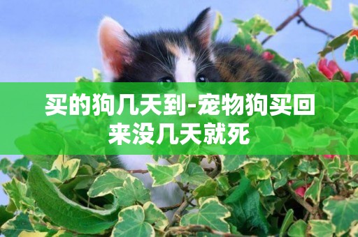 買的狗幾天到-寵物狗買回來沒幾天就死
