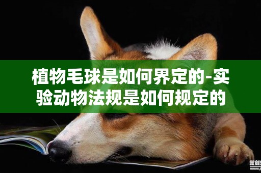 植物毛球是如何界定的-實驗動物法規是如何規定的