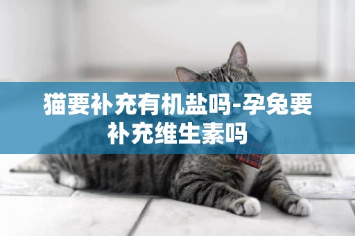 貓要補充有機鹽嗎-孕兔要補充維生素嗎