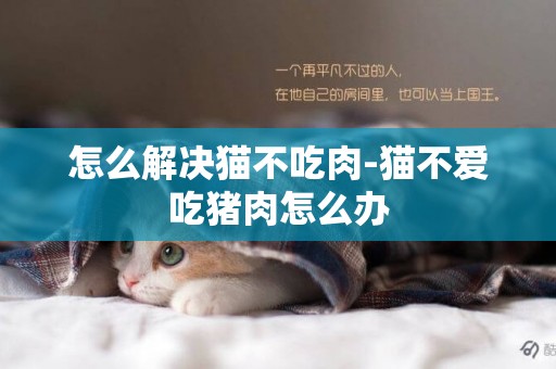 怎么解決貓不吃肉-貓不愛吃豬肉怎么辦