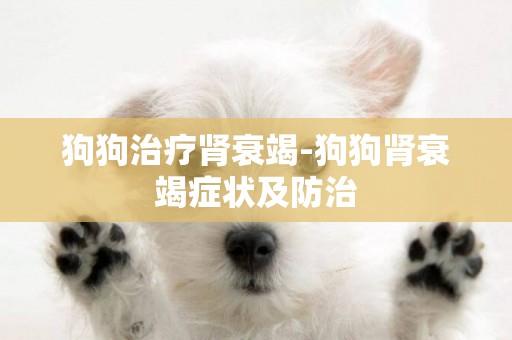 狗狗治療腎衰竭-狗狗腎衰竭癥狀及防治