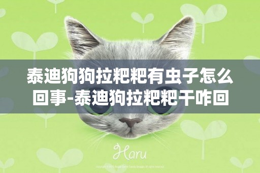泰迪狗狗拉粑粑有蟲子怎么回事-泰迪狗拉粑粑干咋回事
