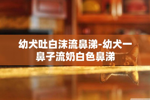 幼犬吐白沫流鼻涕-幼犬一鼻子流奶白色鼻涕