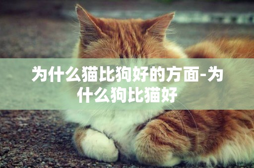 為什么貓比狗好的方面-為什么狗比貓好