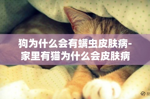 狗為什么會有螨蟲皮膚病-家里有貓為什么會皮膚病