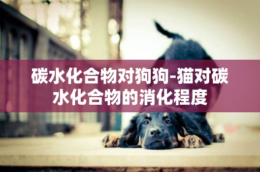 碳水化合物對狗狗-貓對碳水化合物的消化程度
