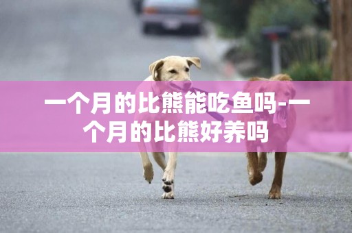 一個月的比熊能吃魚嗎-一個月的比熊好養嗎