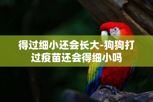 得過細小還會長大-狗狗打過疫苗還會得細小嗎