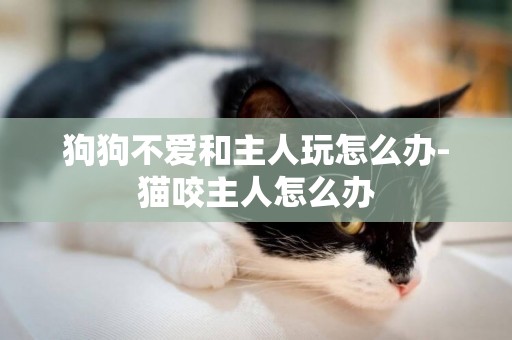 狗狗不愛和主人玩怎么辦-貓咬主人怎么辦