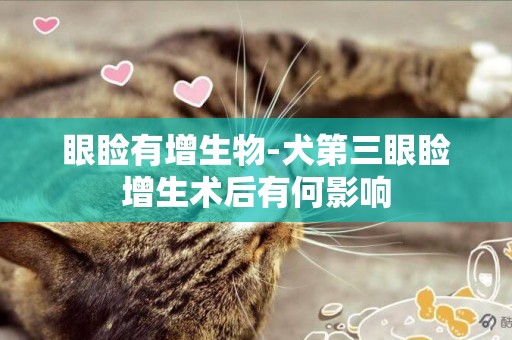 眼瞼有增生物-犬第三眼瞼增生術后有何影響