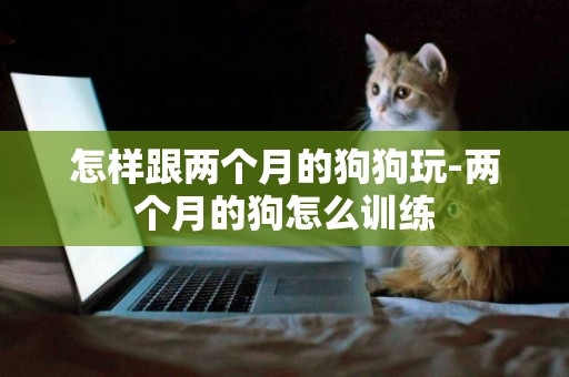 怎樣跟兩個月的狗狗玩-兩個月的狗怎么訓練