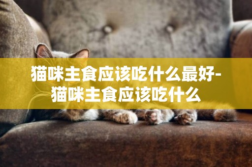 貓咪主食應該吃什么最好-貓咪主食應該吃什么