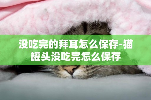 沒吃完的拜耳怎么保存-貓罐頭沒吃完怎么保存