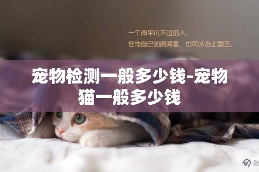 寵物檢測一般多少錢-寵物貓一般多少錢