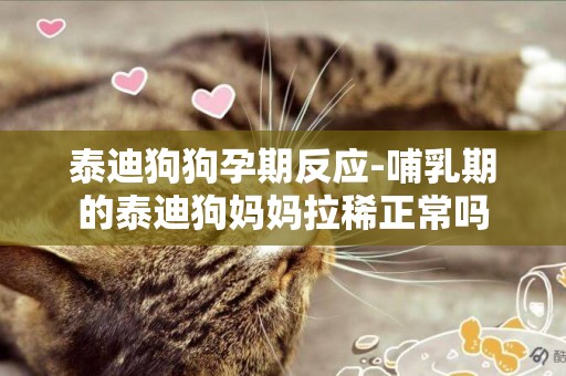 泰迪狗狗孕期反應-哺乳期的泰迪狗媽媽拉稀正常嗎