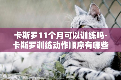 卡斯羅11個月可以訓練嗎-卡斯羅訓練動作順序有哪些