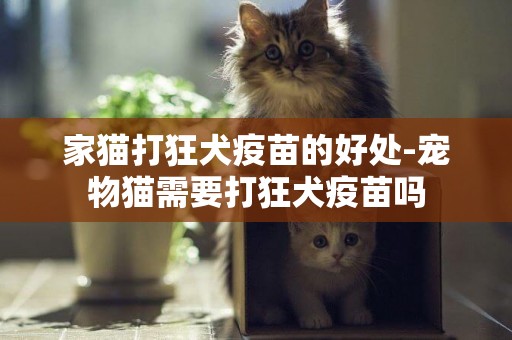 家貓打狂犬疫苗的好處-寵物貓需要打狂犬疫苗嗎