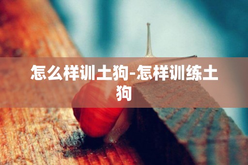 怎么樣訓土狗-怎樣訓練土狗