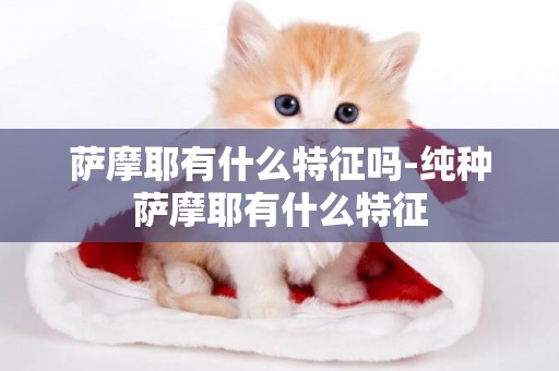 薩摩耶有什么特征嗎-純種薩摩耶有什么特征