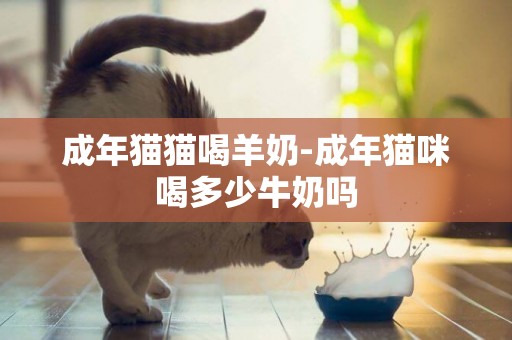 成年貓貓喝羊奶-成年貓咪喝多少牛奶嗎