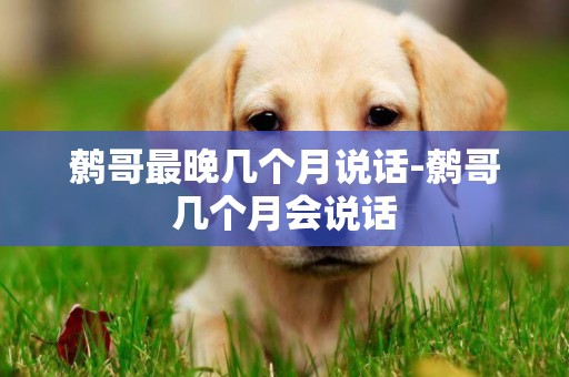鷯哥最晚幾個月說話-鷯哥幾個月會說話