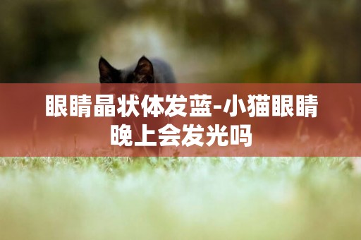 眼睛晶狀體發藍-小貓眼睛晚上會發光嗎
