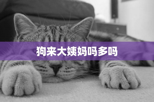 狗來大姨媽嗎多嗎