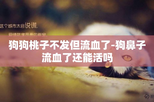 狗狗桃子不發但流血了-狗鼻子流血了還能活嗎