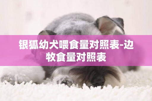 銀狐幼犬喂食量對照表-邊牧食量對照表